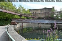  (Bild: Stefan Siedler)
